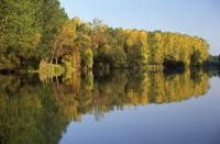 Szigetköz II.