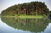 Szigetköz II.